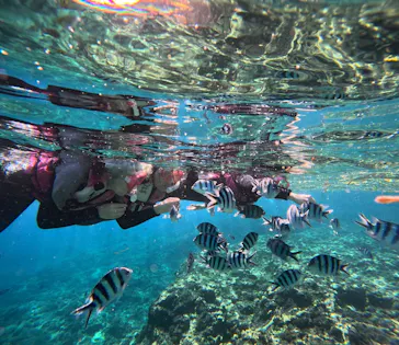 武藤潜水に投稿された画像（2023/11/4）