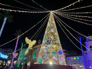 フェスタ・ルーチェに投稿された画像（2023/11/4）