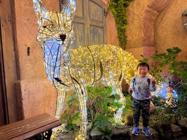 フェスタ・ルーチェに投稿された画像（2023/11/4）