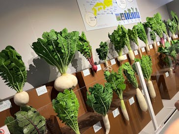 特別展「和食 ～日本の自然、人々の知恵～」に投稿された画像（2023/11/4）