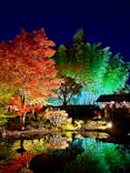 国営昭和記念公園 秋の夜散歩に投稿された画像（2023/11/4）