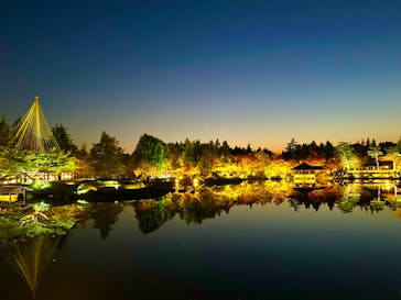 国営昭和記念公園 秋の夜散歩に投稿された画像（2023/11/4）