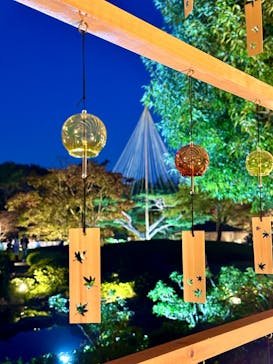 国営昭和記念公園 秋の夜散歩に投稿された画像（2023/11/4）