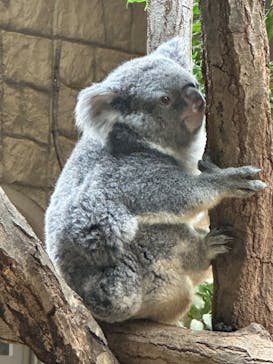 名古屋市東山動植物園に投稿された画像（2023/11/4）