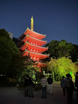 博多ライトアップウォーク実行委員会に投稿された画像（2023/11/4）