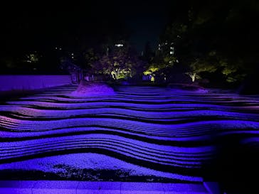 博多ライトアップウォーク実行委員会に投稿された画像（2023/11/4）