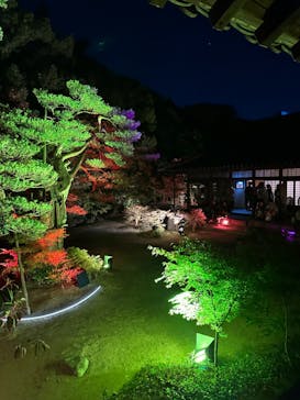 博多ライトアップウォーク実行委員会に投稿された画像（2023/11/4）