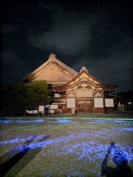 NAKED meets 二条城 2025 観月に投稿された画像（2023/8/17）