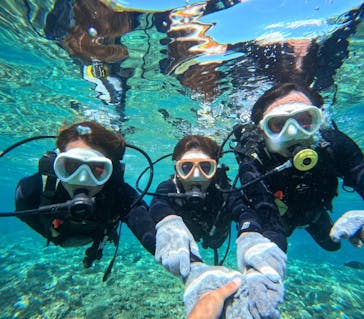 沖縄マリンサービス碧に投稿された画像（2023/11/4）