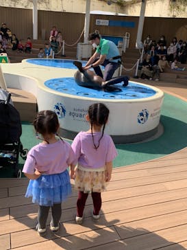 サンシャイン水族館に投稿された画像（2023/11/4）