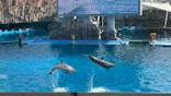 名古屋港水族館に投稿された画像（2023/11/4）