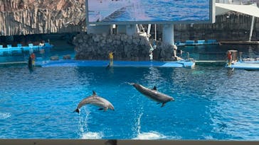 名古屋港水族館に投稿された画像（2023/11/4）