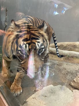 名古屋市東山動植物園に投稿された画像（2023/11/4）