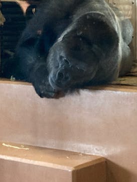 名古屋市東山動植物園に投稿された画像（2023/11/4）