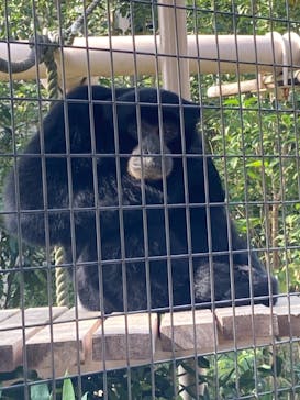名古屋市東山動植物園に投稿された画像（2023/11/4）