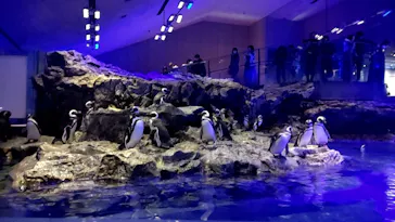 すみだ水族館に投稿された画像（2023/11/4）