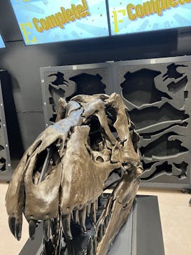福井県立恐竜博物館に投稿された画像（2023/11/4）