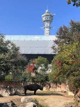 天王寺動物園に投稿された画像（2023/11/4）