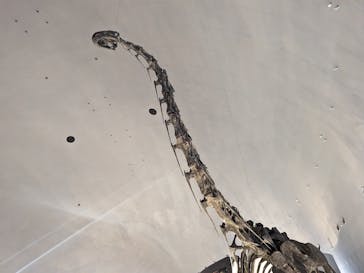 福井県立恐竜博物館に投稿された画像（2023/11/4）