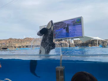 名古屋港水族館に投稿された画像（2023/11/4）