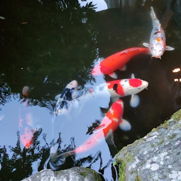 日帰り温泉湯の里おかだに投稿された画像（2023/11/4）
