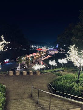 西武園ゆうえんちに投稿された画像（2023/11/4）