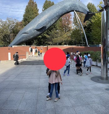 国立科学博物館に投稿された画像（2023/11/4）