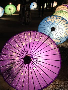 国営昭和記念公園 秋の夜散歩に投稿された画像（2023/11/4）