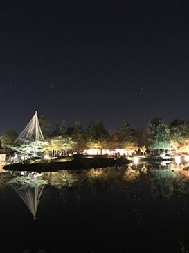国営昭和記念公園 秋の夜散歩に投稿された画像（2023/11/4）