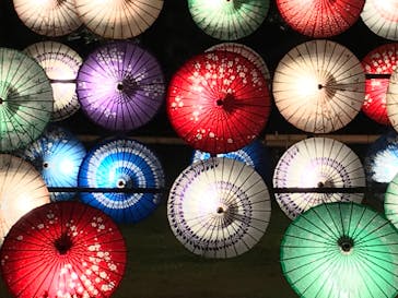 国営昭和記念公園 秋の夜散歩に投稿された画像（2023/11/4）