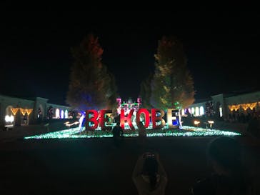 神戸イルミナージュに投稿された画像（2023/11/4）