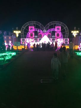 神戸イルミナージュに投稿された画像（2023/11/4）