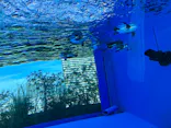 サンシャイン水族館に投稿された画像（2023/11/4）