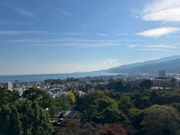 小田原城に投稿された画像（2023/11/4）