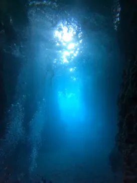 武藤潜水に投稿された画像（2023/11/4）