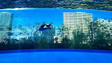 サンシャイン水族館に投稿された画像（2023/11/4）