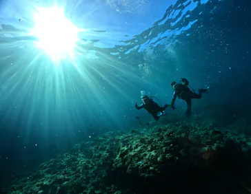 武藤潜水に投稿された画像（2023/11/4）