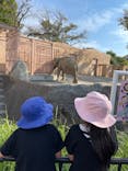 日立市かみね動物園に投稿された画像（2023/11/4）