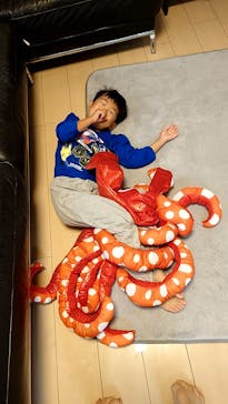 サンシャイン水族館に投稿された画像（2023/11/4）