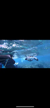 武藤潜水に投稿された画像（2023/11/4）