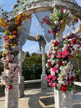 京成バラ園に投稿された画像（2023/11/4）