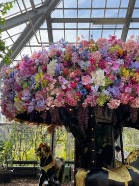 京成バラ園に投稿された画像（2023/11/4）