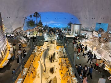 福井県立恐竜博物館に投稿された画像（2023/11/4）
