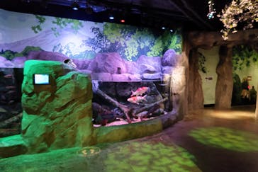 レゴランドⓇ・ジャパン・リゾートに投稿された画像（2023/11/4）