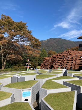 彫刻の森美術館に投稿された画像（2023/11/4）