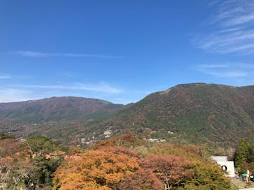 彫刻の森美術館に投稿された画像（2023/11/4）