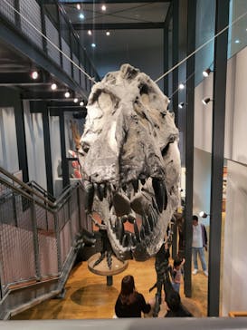 福井県立恐竜博物館に投稿された画像（2023/11/4）