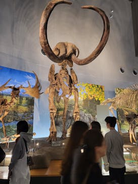 福井県立恐竜博物館に投稿された画像（2023/11/4）