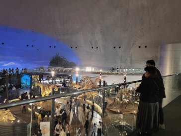 福井県立恐竜博物館に投稿された画像（2023/11/4）