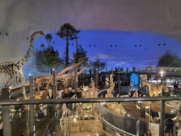 福井県立恐竜博物館に投稿された画像（2023/11/4）